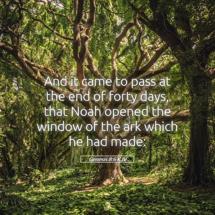 Genesis 8:6 KJV Bible Study