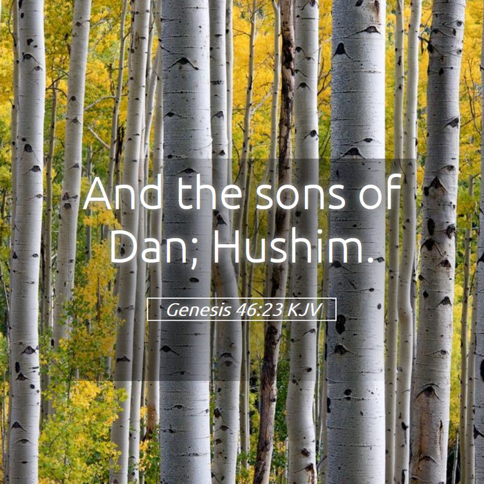 Genesis 46:23 KJV Bible Study