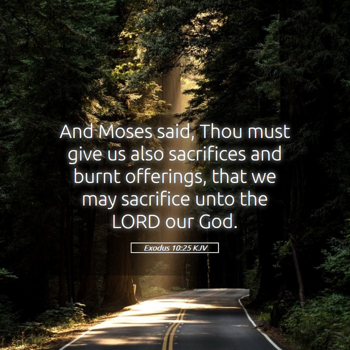 Exodus 10:25 KJV Bible Study