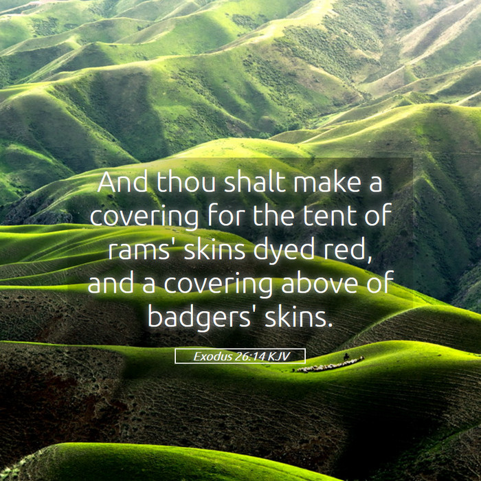 Exodus 26:14 KJV Bible Study