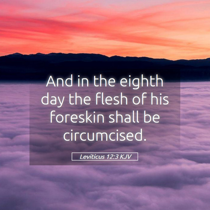 Leviticus 12:3 KJV Bible Study
