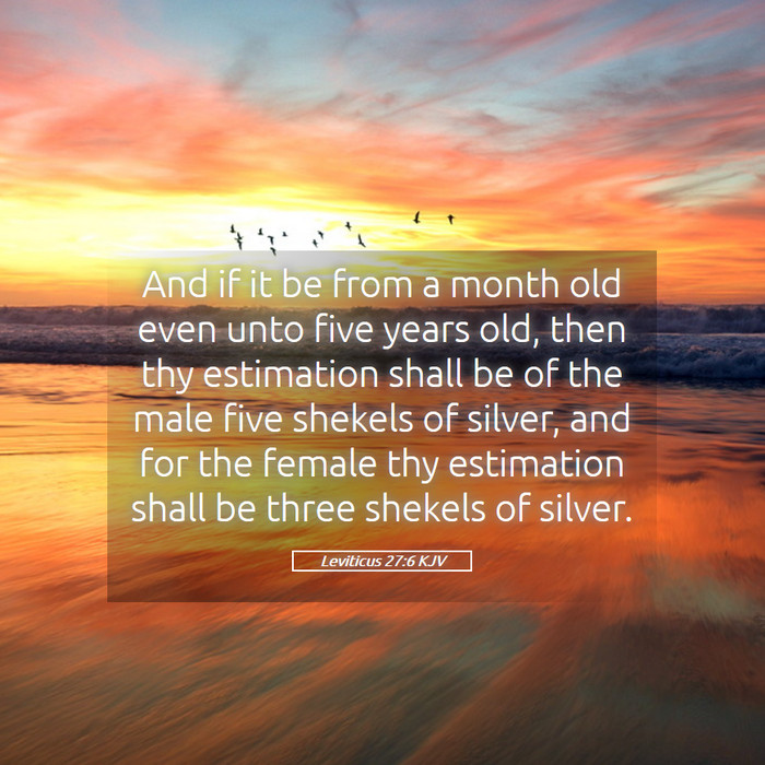 Leviticus 27:6 KJV Bible Study