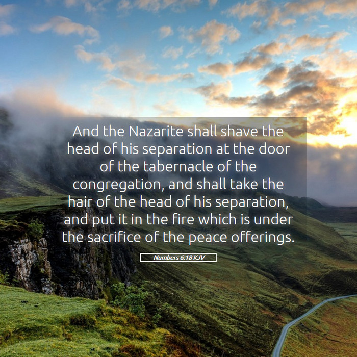 Numbers 6:18 KJV Bible Study
