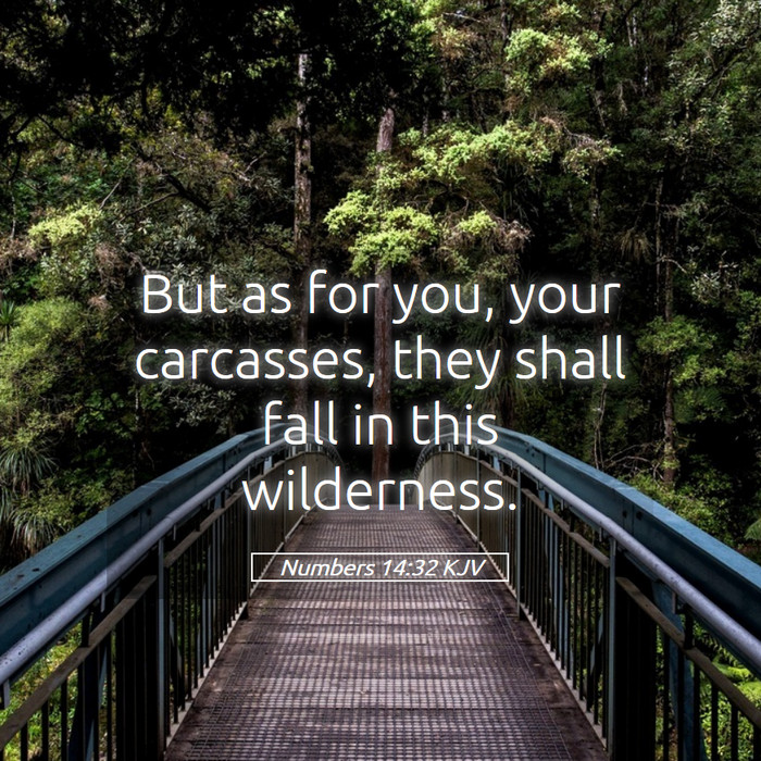 Numbers 14:32 KJV Bible Study