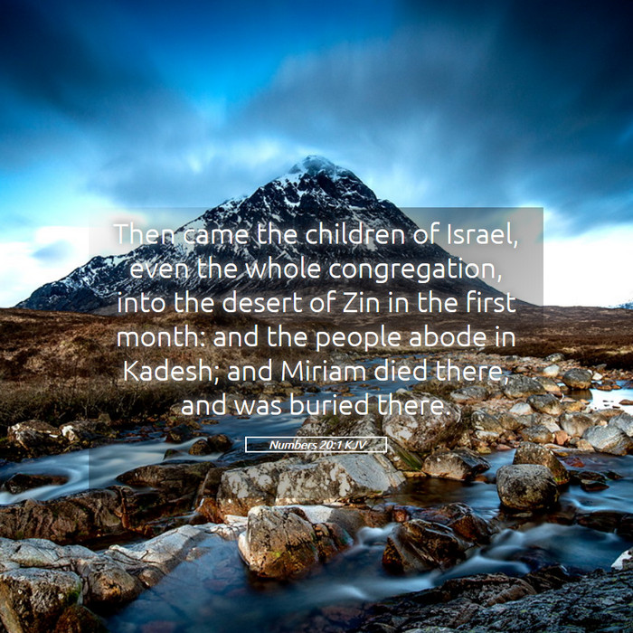Numbers 20:1 KJV Bible Study