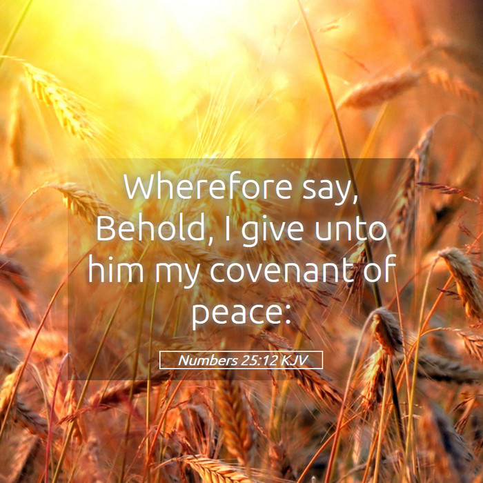 Numbers 25:12 KJV Bible Study