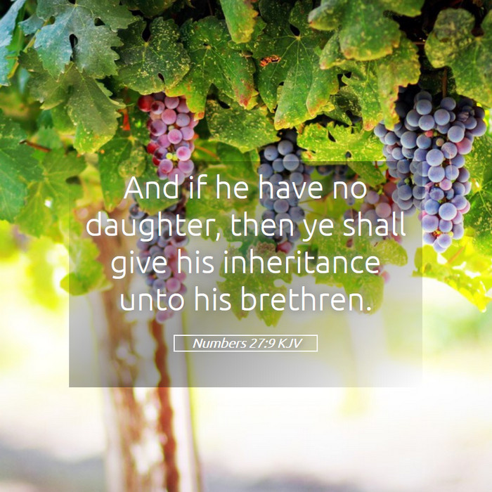 Numbers 27:9 KJV Bible Study