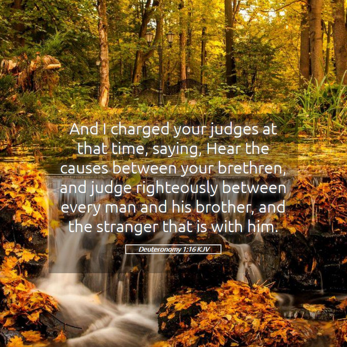 Deuteronomy 1:16 KJV Bible Study