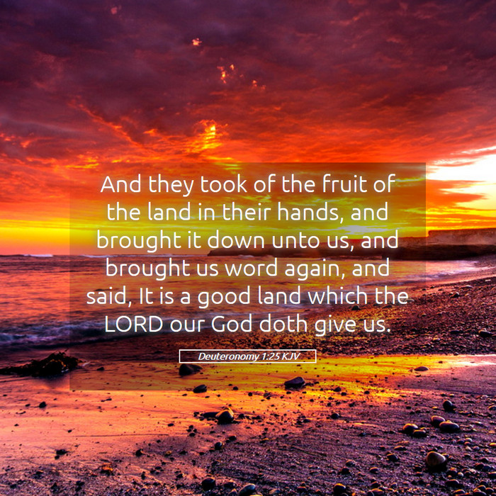 Deuteronomy 1:25 KJV Bible Study