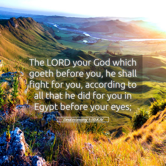 Deuteronomy 1:30 KJV Bible Study