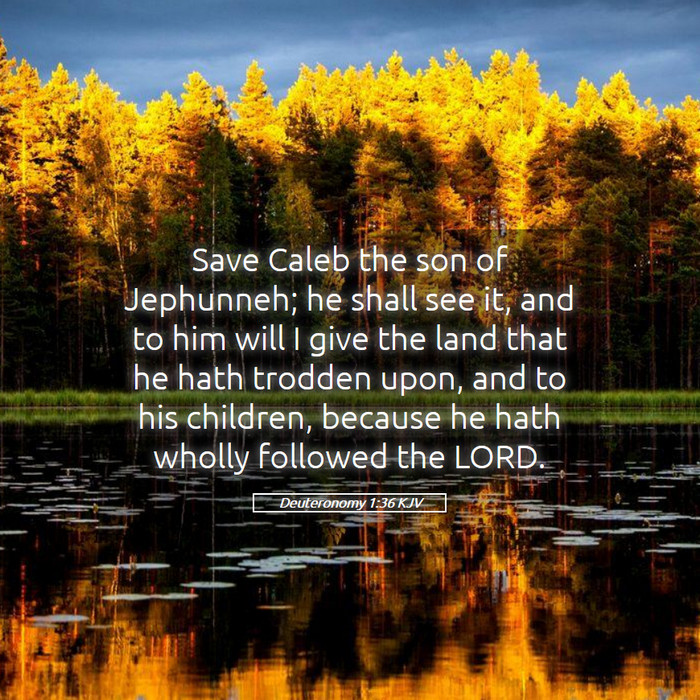 Deuteronomy 1:36 KJV Bible Study