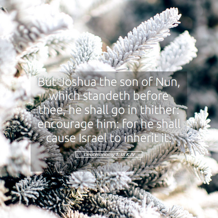 Deuteronomy 1:38 KJV Bible Study