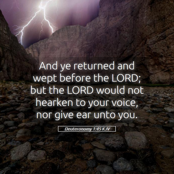 Deuteronomy 1:45 KJV Bible Study