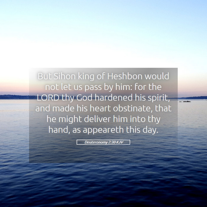 Deuteronomy 2:30 KJV Bible Study