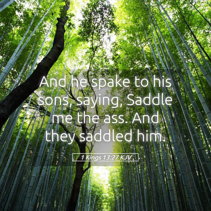 1 Kings 13:27 KJV Bible Study