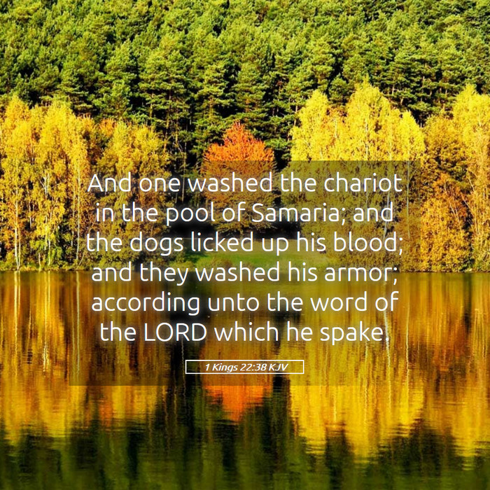 1 Kings 22:38 KJV Bible Study