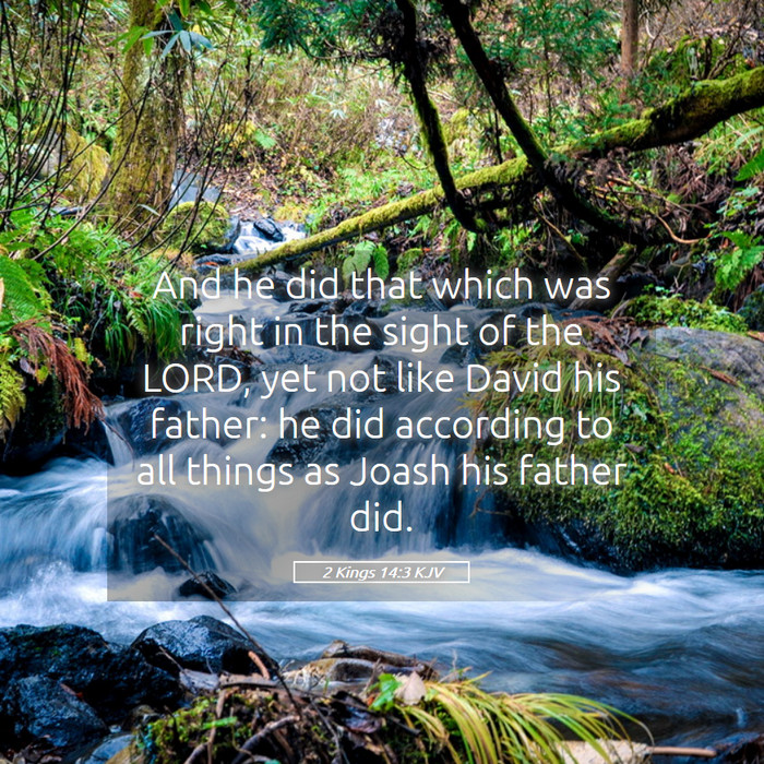 2 Kings 14:3 KJV Bible Study