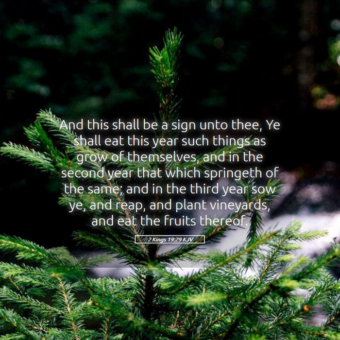 2 Kings 19:29 KJV Bible Study