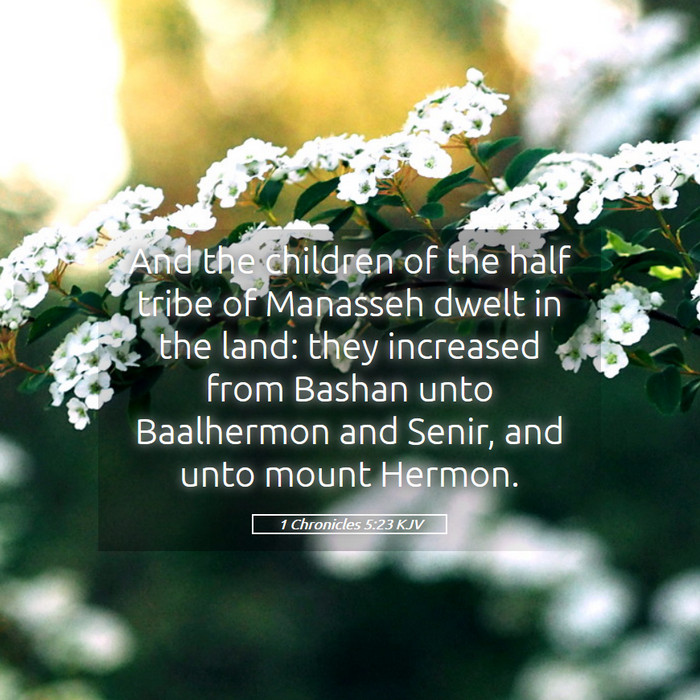 1 Chronicles 5:23 KJV Bible Study
