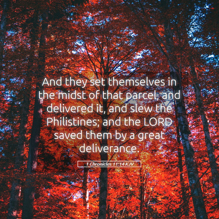 1 Chronicles 11:14 KJV Bible Study