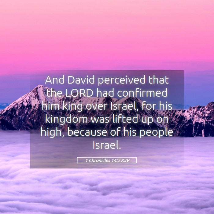 1 Chronicles 14:2 KJV Bible Study