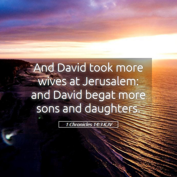 1 Chronicles 14:3 KJV Bible Study
