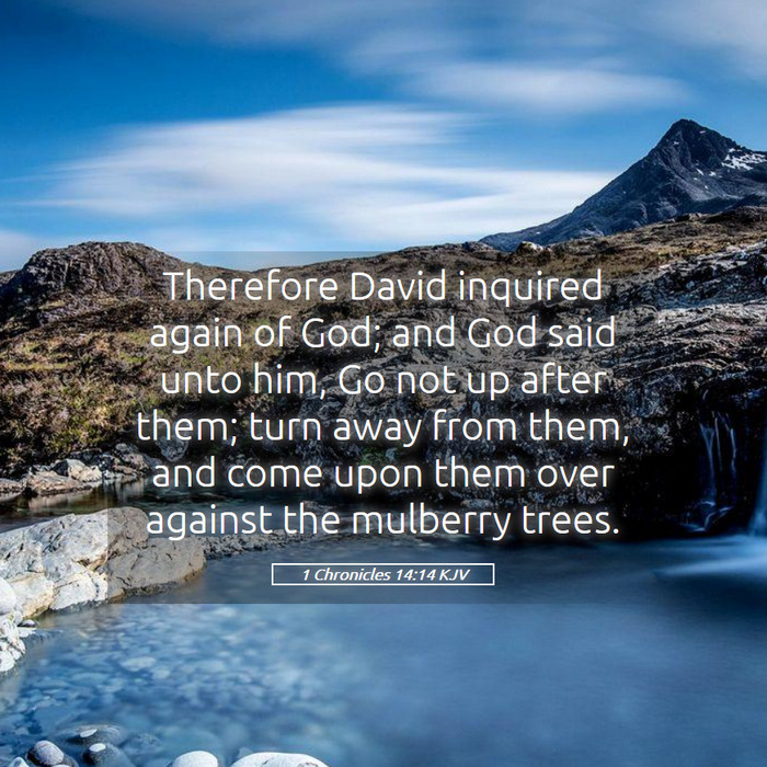 1 Chronicles 14:14 KJV Bible Study