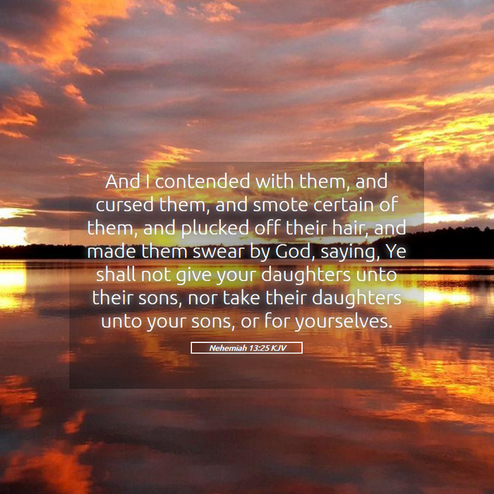 Nehemiah 13:25 KJV Bible Study