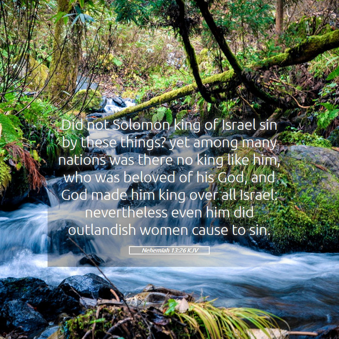 Nehemiah 13:26 KJV Bible Study