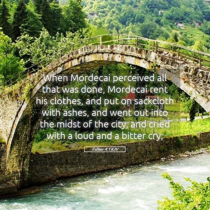 Esther 4:1 KJV Bible Study