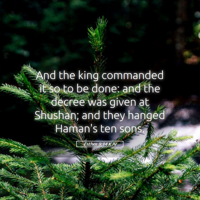 Esther 9:14 KJV Bible Study