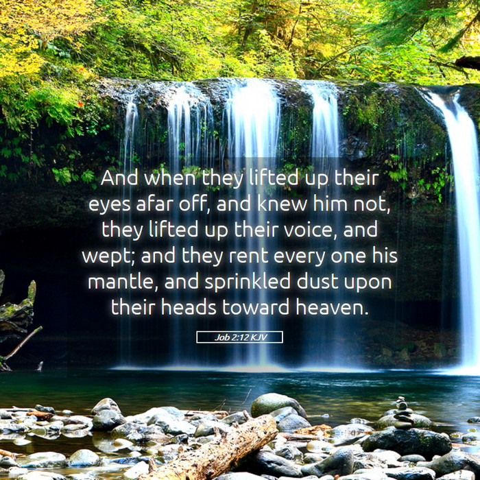 Job 2:12 KJV Bible Study