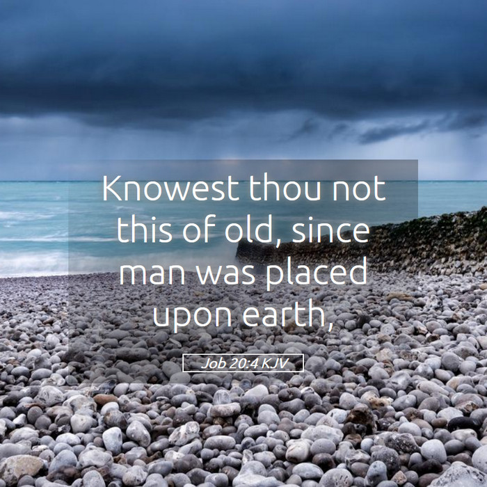 Job 20:4 KJV Bible Study
