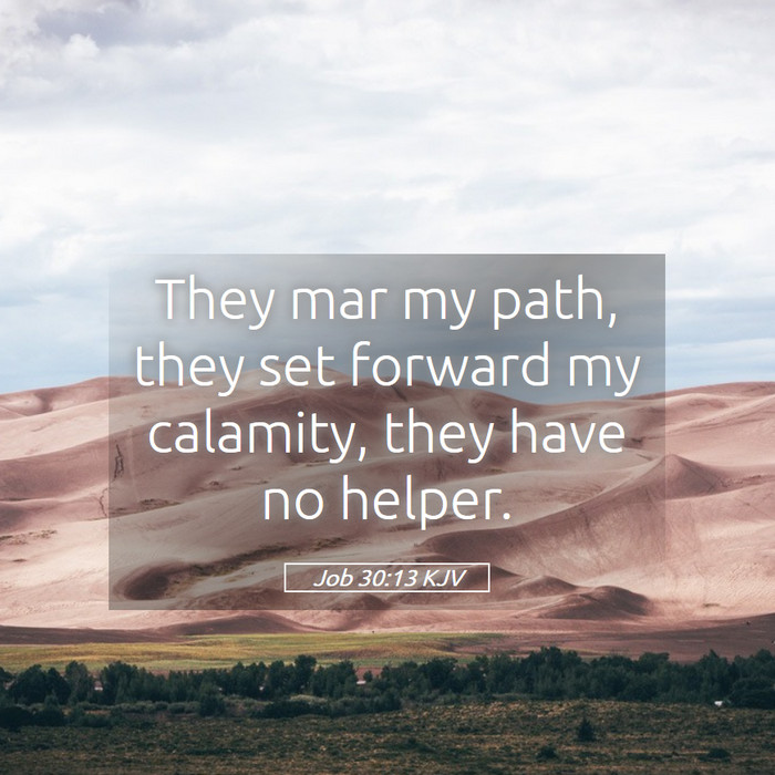 Job 30:13 KJV Bible Study