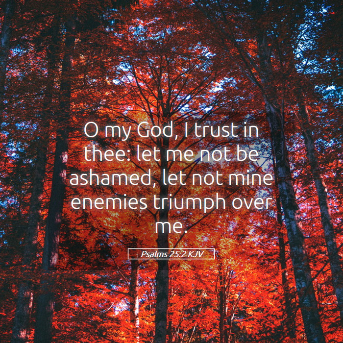 Psalms 25:2 KJV Bible Study