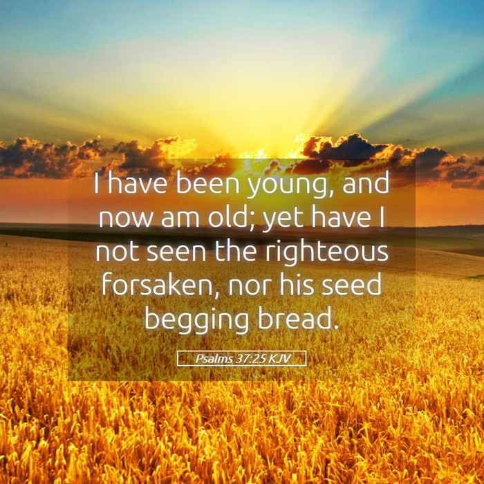 Psalms 37:25 KJV Bible Study