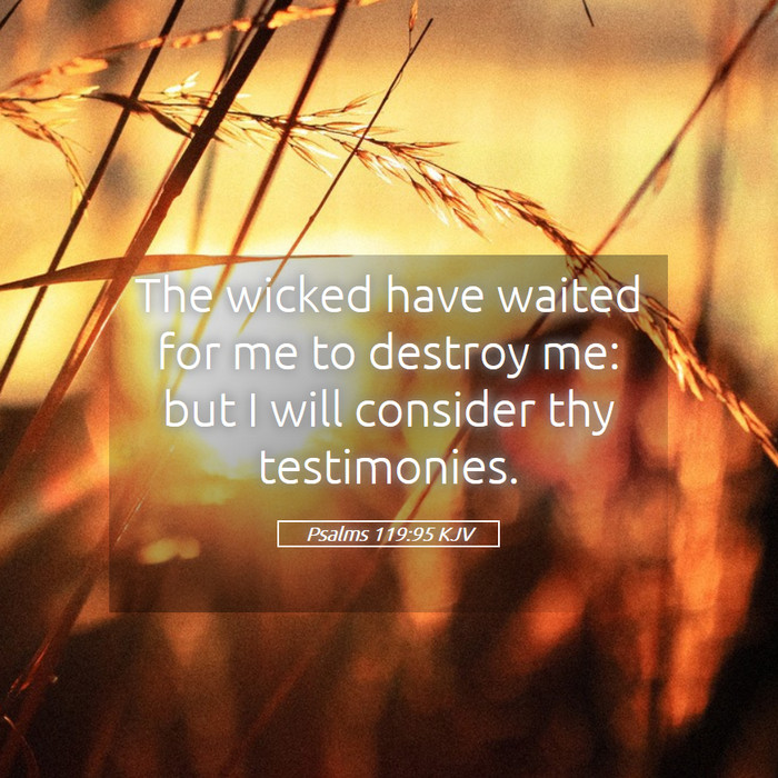 Psalms 119:95 KJV Bible Study