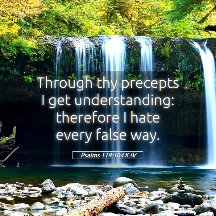 Psalms 119:104 KJV Bible Study