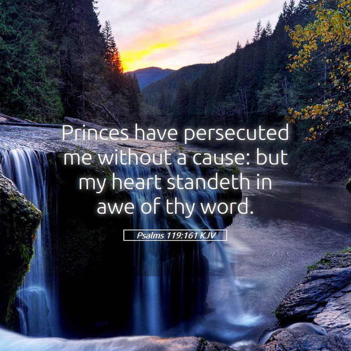 Psalms 119:161 KJV Bible Study