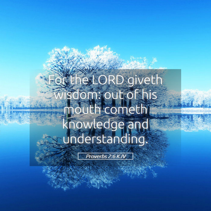 Proverbs 2:6 KJV Bible Study