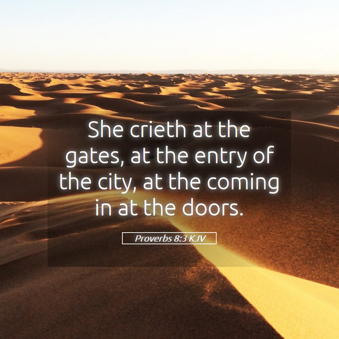 Proverbs 8:3 KJV Bible Study
