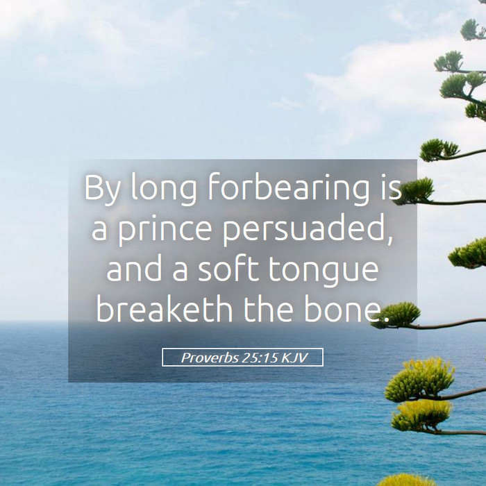Proverbs 25:15 KJV Bible Study