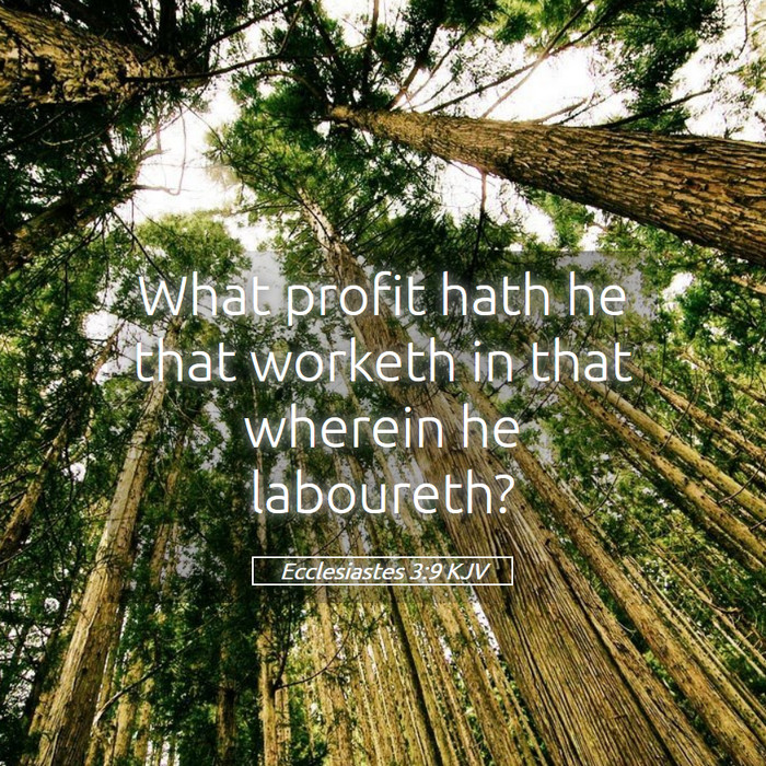 Ecclesiastes 3:9 KJV Bible Study