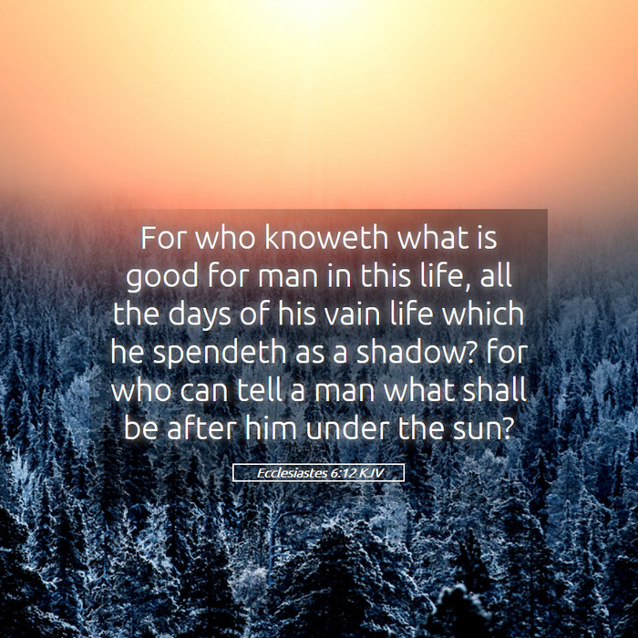Ecclesiastes 6:12 KJV Bible Study