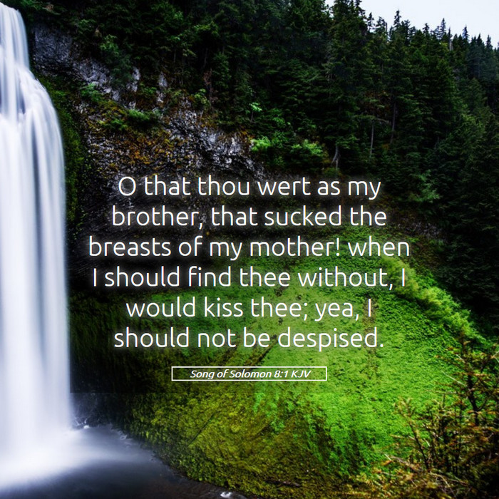 Song of Solomon 8:1 KJV Bible Study