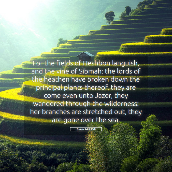 Isaiah 16:8 KJV Bible Study