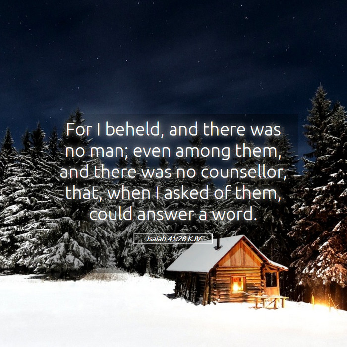 Isaiah 41:28 KJV Bible Study
