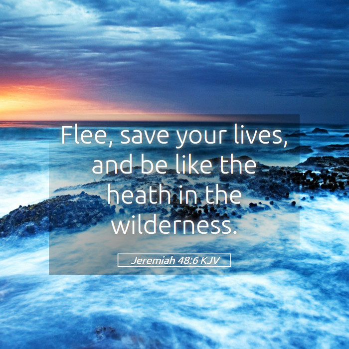 Jeremiah 48:6 KJV Bible Study