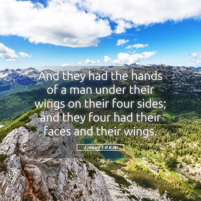 Ezekiel 1:8 KJV Bible Study