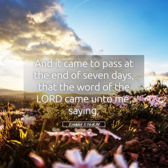 Ezekiel 3:16 KJV Bible Study